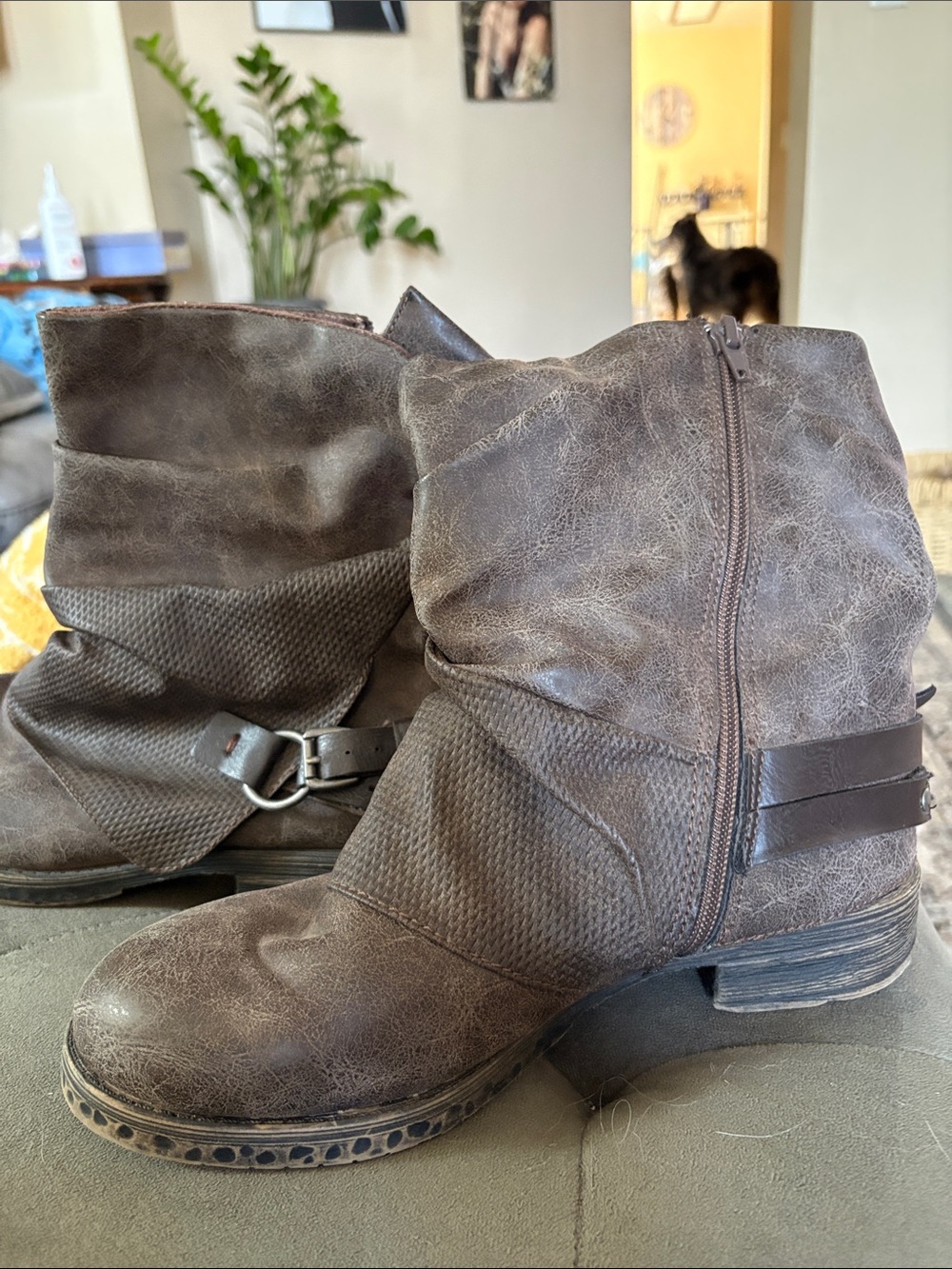 Jellypop Brown Slouch Ankle Boots with Side Zip